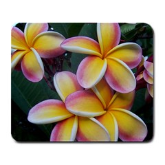 Premier Mix Flower Large Mousepads by alohaA