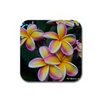 Premier Mix Flower Rubber Square Coaster (4 pack)  Front