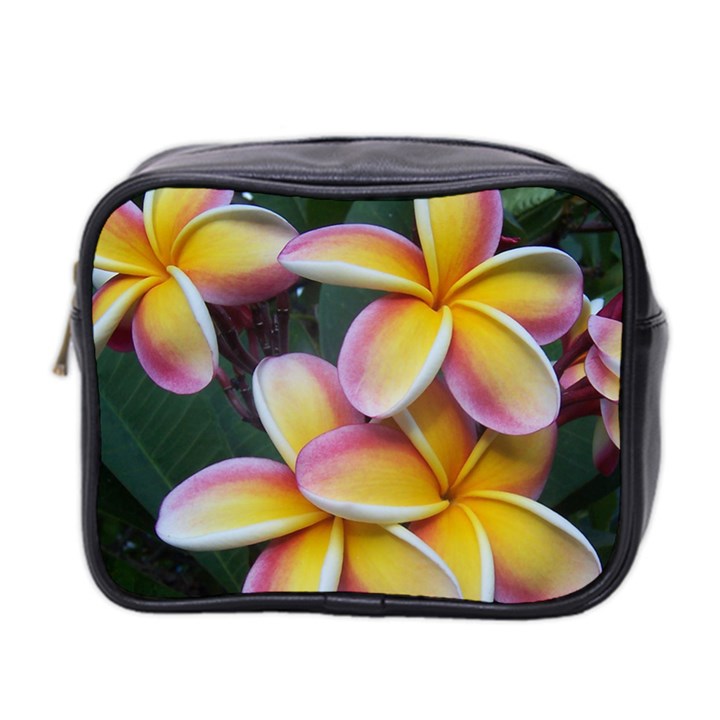 Premier Mix Flower Mini Toiletries Bag 2-Side