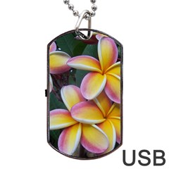 Premier Mix Flower Dog Tag Usb Flash (two Sides) by alohaA