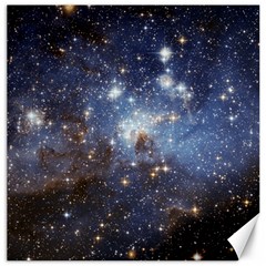 Large Magellanic Cloud Canvas 20  X 20   by SpaceShop