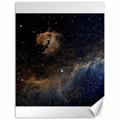 Seagull Nebula Canvas 12  X 16   by SpaceShop