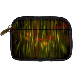 Fractal Rain Digital Camera Cases by Simbadda