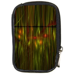 Fractal Rain Compact Camera Cases by Simbadda