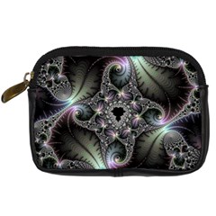 Beautiful Curves Digital Camera Cases by Simbadda