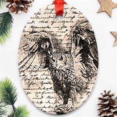 Vintage Owl Oval Ornament (two Sides) by Valentinaart