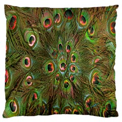 Peacock Feathers Green Background Large Cushion Case (one Side) by Simbadda