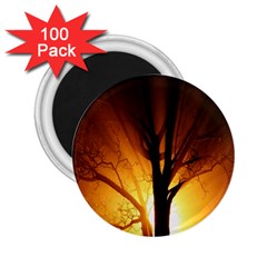 Rays Of Light Tree In Fog At Night 2 25  Magnets (100 Pack)  by Amaryn4rt