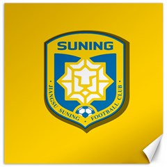 Jiangsu Suning F C  Canvas 20  X 20   by Valentinaart