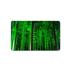 Spooky Forest With Illuminated Trees Magnet (name Card) by Nexatart