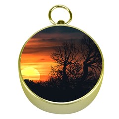 Sunset At Nature Landscape Gold Compasses by dflcprints