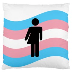 Transgender  Standard Flano Cushion Case (one Side) by Valentinaart