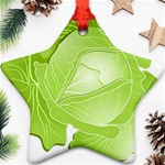 Cabbage Leaf Vegetable Green Ornament (Star) Front