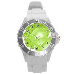 Cabbage Leaf Vegetable Green Round Plastic Sport Watch (l) by Mariart