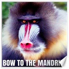 Bow To The Mandrill Canvas 20  X 20   by RakeClag