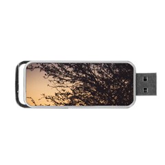 Arizona Sunset Portable Usb Flash (two Sides) by JellyMooseBear