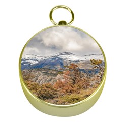 Forest And Snowy Mountains, Patagonia, Argentina Gold Compasses by dflcprints