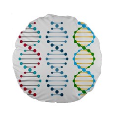 Genetic Dna Blood Flow Cells Standard 15  Premium Flano Round Cushions by Mariart