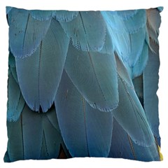 Feather Plumage Blue Parrot Large Cushion Case (one Side) by Nexatart