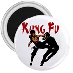 Kung Fu  3  Magnets Front