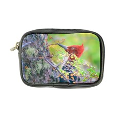 Woodpecker At Forest Pecking Tree, Patagonia, Argentina Coin Purse by dflcprints