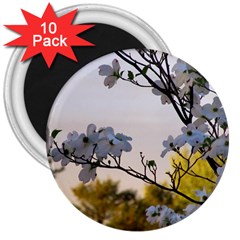 Morning Promise 3  Magnets (10 Pack)  by oddzodd