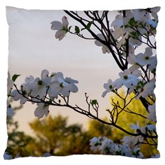 Morning Promise Large Cushion Case (one Side) by oddzodd