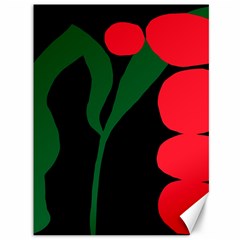 Illustrators Portraits Plants Green Red Polka Dots Canvas 36  X 48   by Mariart