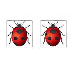 Ladybug Insects Cufflinks (square) by BangZart