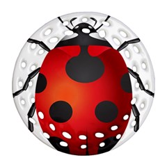 Ladybug Insects Ornament (round Filigree) by BangZart