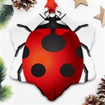 Ladybug Insects Ornament (Snowflake) Front