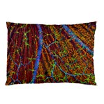 Neurobiology Pillow Case 26.62 x18.9  Pillow Case