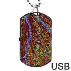 Neurobiology Dog Tag Usb Flash (one Side) by BangZart