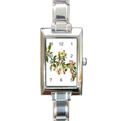 Apple Branch Deciduous Fruit Rectangle Italian Charm Watch by Nexatart