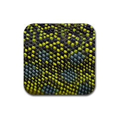 Lizard Animal Skin Rubber Coaster (square)  by BangZart