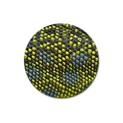 Lizard Animal Skin Magnet 3  (round) by BangZart