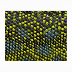 Lizard Animal Skin Small Glasses Cloth (2-side) by BangZart