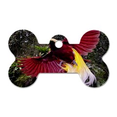 Cendrawasih Beautiful Bird Of Paradise Dog Tag Bone (two Sides) by BangZart