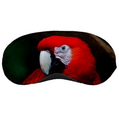 Scarlet Macaw Bird Sleeping Masks by BangZart