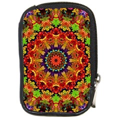 Fractal Mandala Abstract Pattern Compact Camera Cases by paulaoliveiradesign