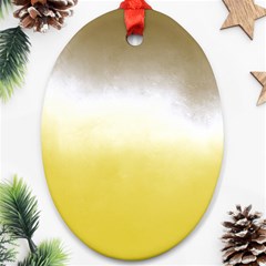 Ombre Oval Ornament (two Sides) by ValentinaDesign