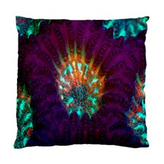 Live Green Brain Goniastrea Underwater Corals Consist Small Standard Cushion Case (two Sides) by Mariart