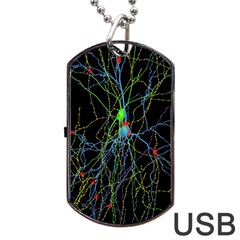 Synaptic Connections Between Pyramida Neurons And Gabaergic Interneurons Were Labeled Biotin During Dog Tag Usb Flash (one Side) by Mariart