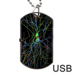 Synaptic Connections Between Pyramida Neurons And Gabaergic Interneurons Were Labeled Biotin During Dog Tag USB Flash (One Side) Front