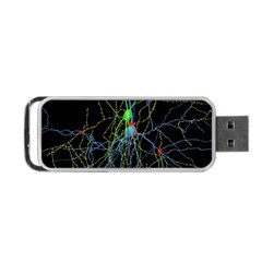 Synaptic Connections Between Pyramida Neurons And Gabaergic Interneurons Were Labeled Biotin During Portable Usb Flash (one Side) by Mariart