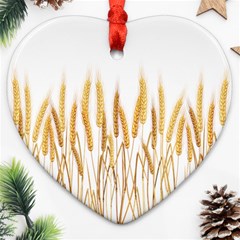 Wheat Plants Heart Ornament (two Sides) by Mariart