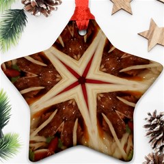 Spaghetti Italian Pasta Kaleidoscope Funny Food Star Design Ornament (star) by yoursparklingshop