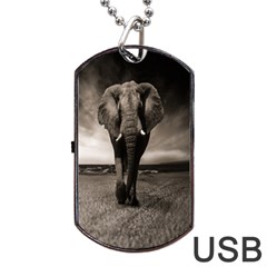 Elephant Black And White Animal Dog Tag Usb Flash (two Sides) by Celenk