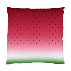 Watermelon Standard Cushion Case (two Sides) by jumpercat