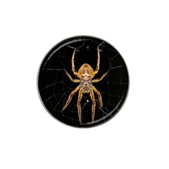 Insect Macro Spider Colombia Hat Clip Ball Marker by BangZart